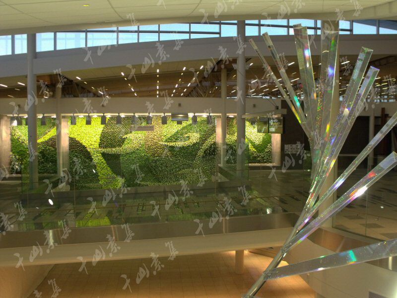 垂直绿化,植物墙