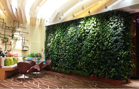千山素集：室内植物墙改造新“森”活