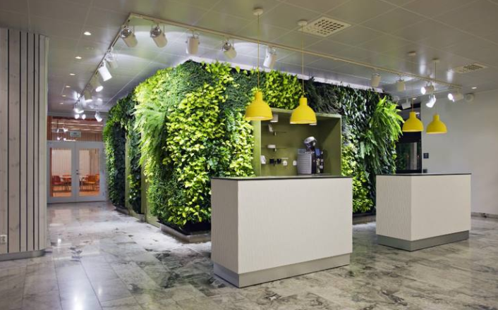 办公室植物墙：让植物与工作息息相关