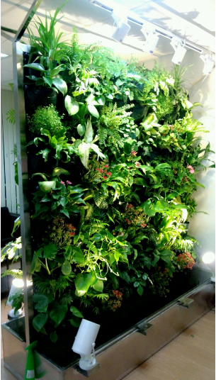 浅谈植物屏风在室内空间的应用