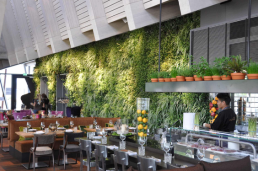餐厅植物墙：让用餐时间变得愉悦
