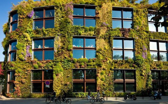 千山素集植物墙-打造城市森林，还原绿色生活