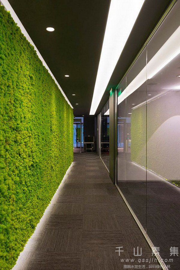 植物墙,走廊植物墙
