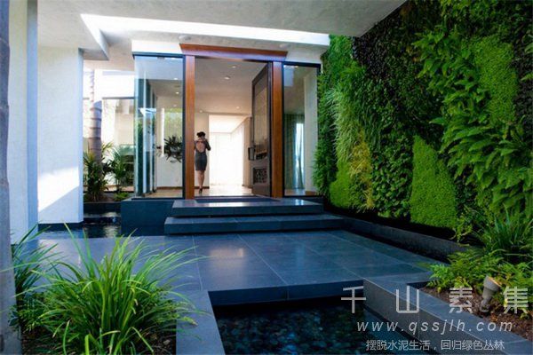 植物墙,垂直绿化,庭院植物墙