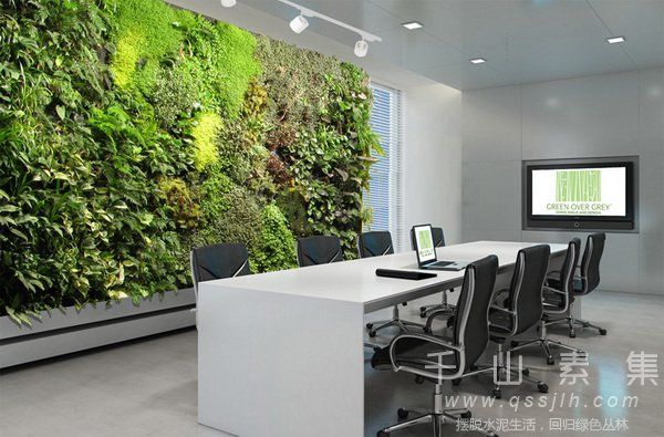 植物墙,室内植物墙