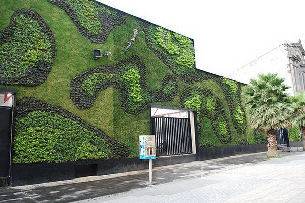 植物墙雕塑,建筑植物墙,植物墙景观