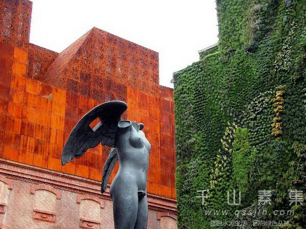 植物墙雕塑,建筑植物墙,植物墙景观