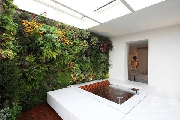 别墅植物墙,植物墙建筑,植物墙景观