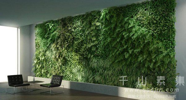 植物墙养护,植物墙景观