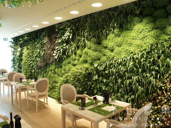 植物墙养护,植物墙景观