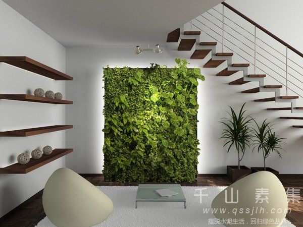 室内植物墙,办公室植物墙,家庭植物墙