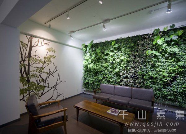 室内植物墙,植物墙制作
