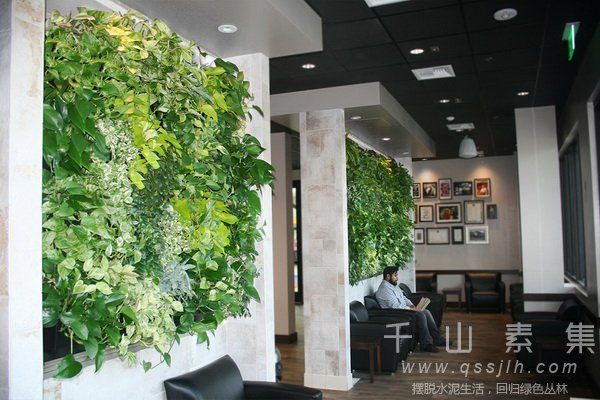 室内植物墙,植物墙制作