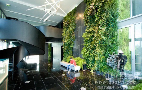 植物墙作用,植物墙的好处