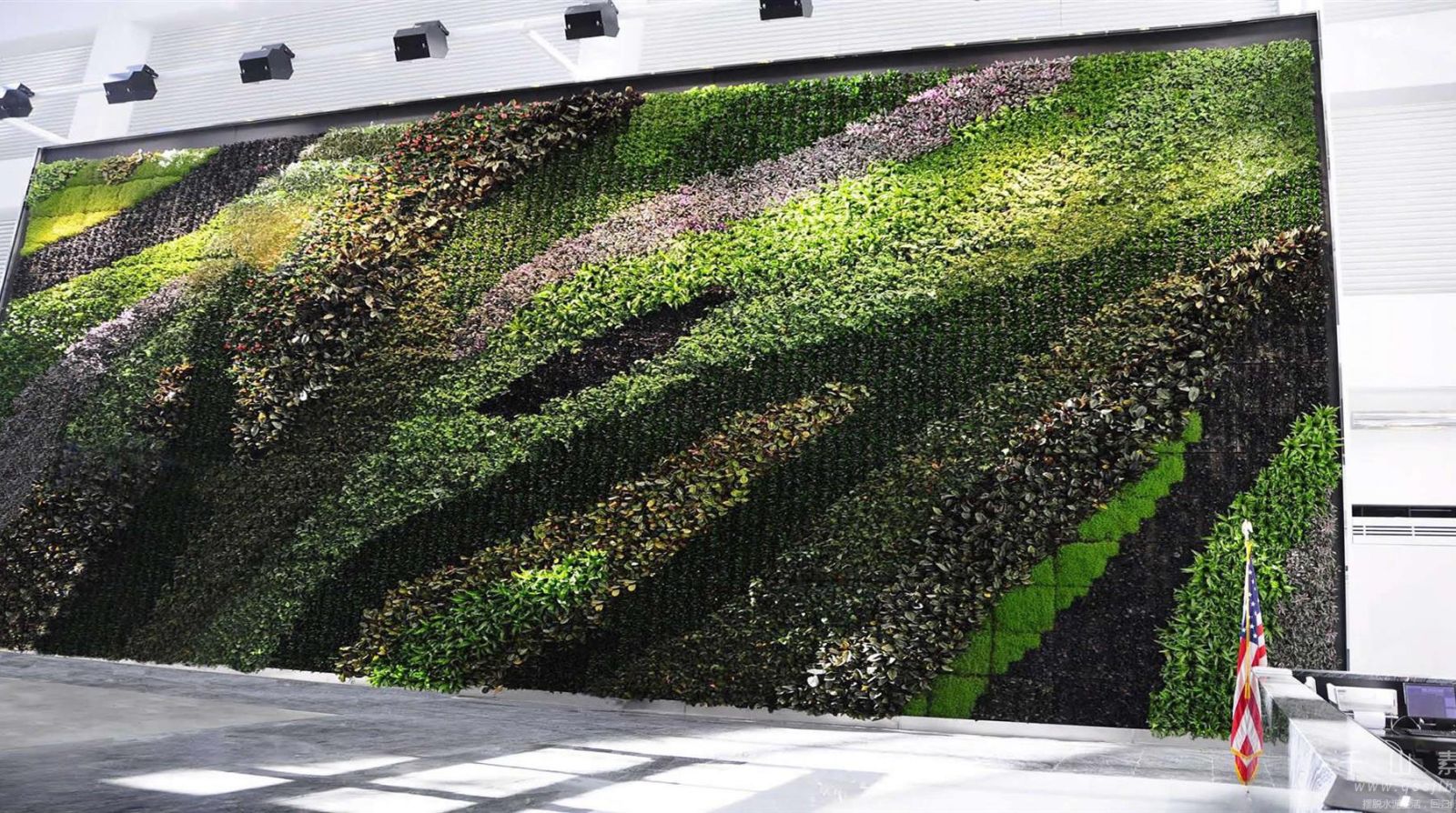 植物墙景观,植物墙设计,植物墙绿化