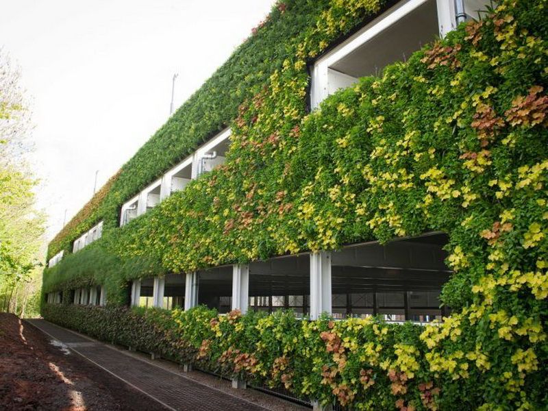 垂直立体绿化,屋顶绿化,立交桥绿化,阳台绿化