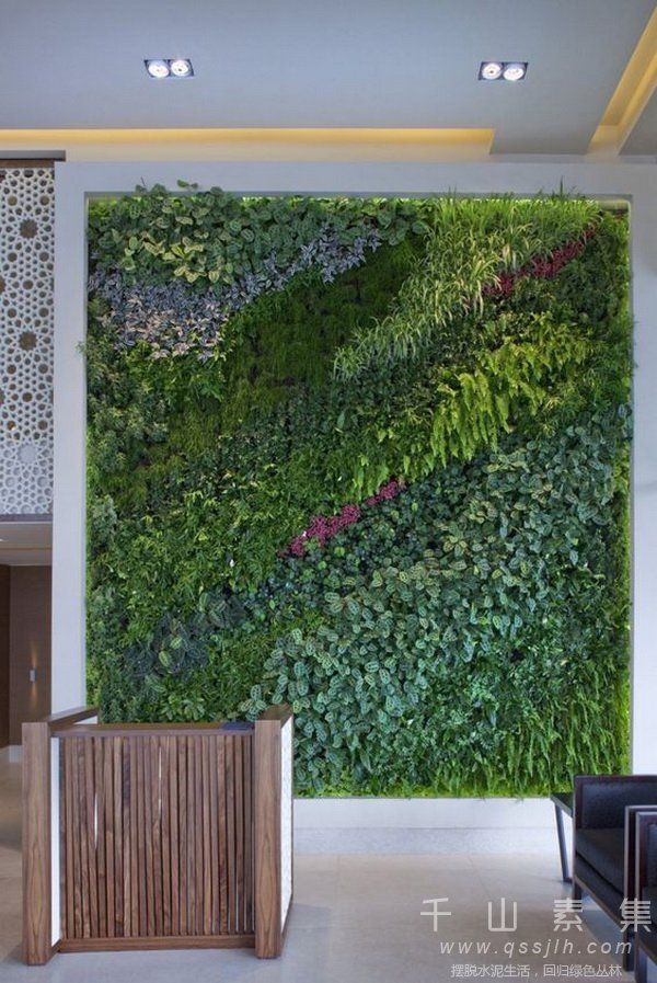家庭植物墙,室内植物墙,植物墙设计,植物墙设计