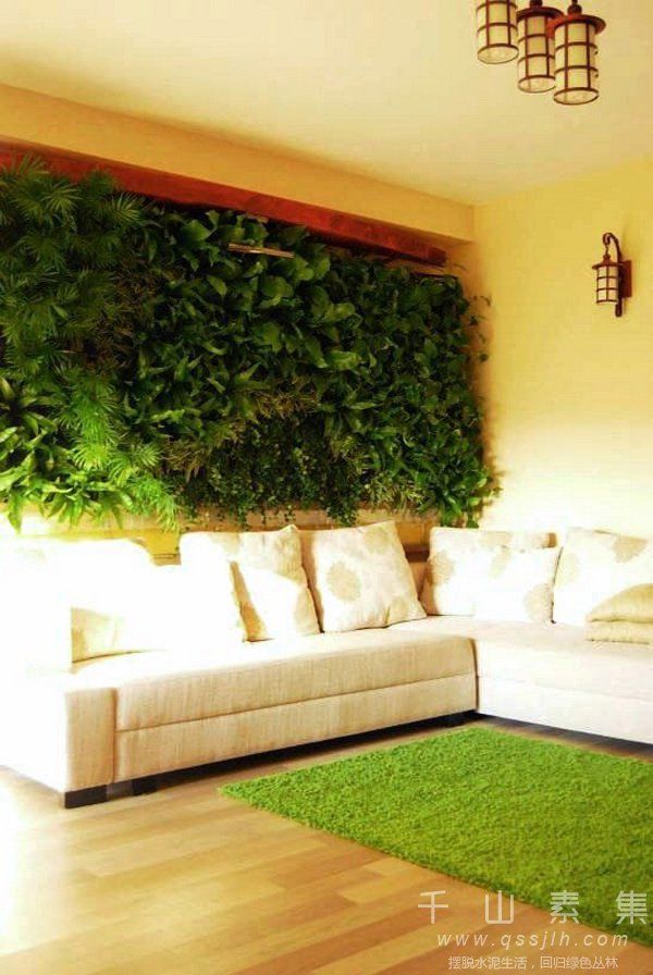 家庭植物墙,室内植物墙,植物墙设计,植物墙设计