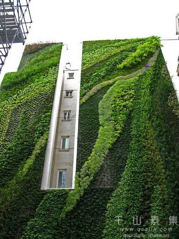 雾霾,城市绿化,城市植物墙