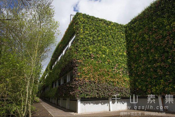 城市绿化,城市植物墙