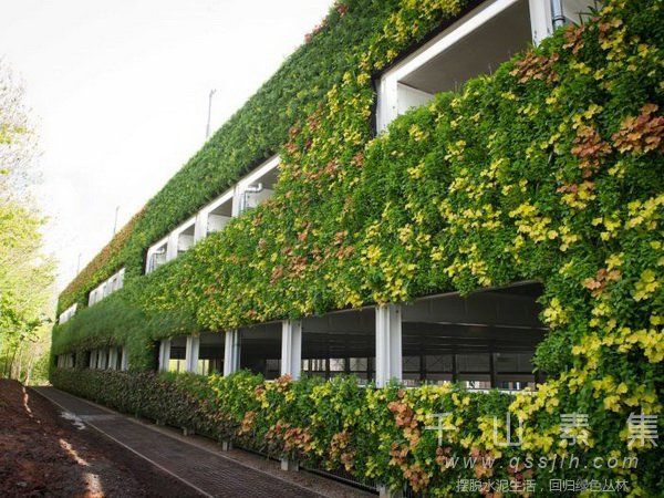城市绿化,城市植物墙
