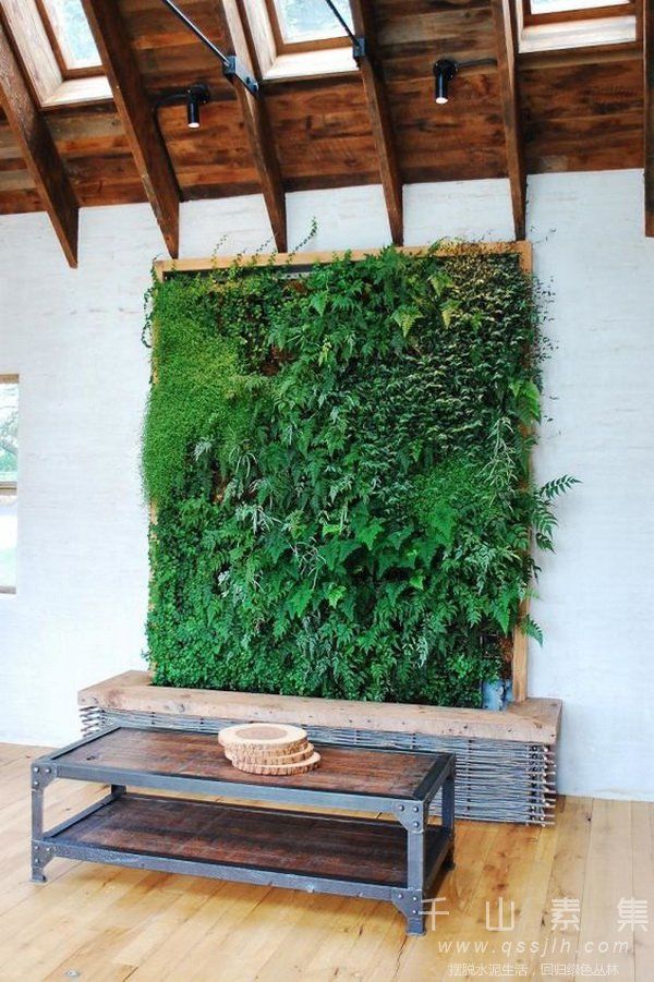 夏季植物墙,室内植物墙,植物墙好处