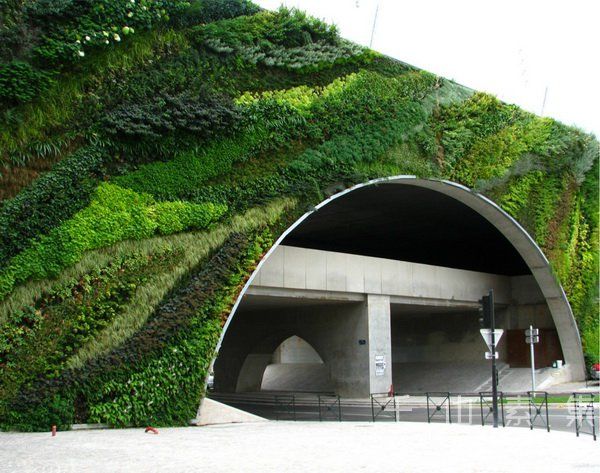 垂直绿化景观,城市垂直绿化