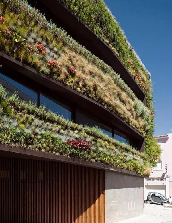 垂直绿化建筑
