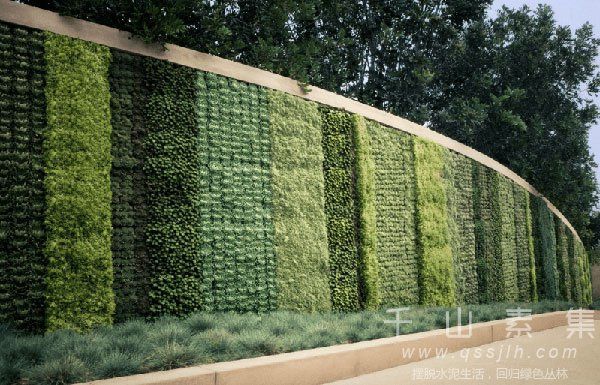 城市植物墙,城市垂直绿化