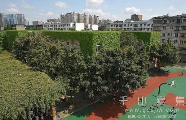 垂直绿化植物墙技术存在的问题和解决方案
