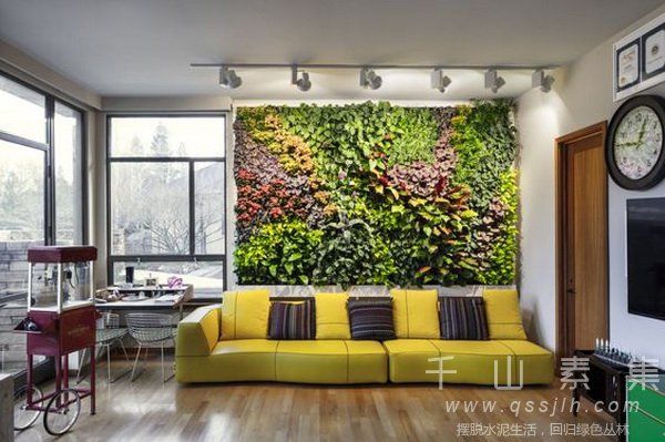 室内植物墙垂直绿化打造的要点