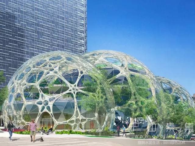 亚马逊球形垂直绿化办公楼 脑洞大开的生态建筑