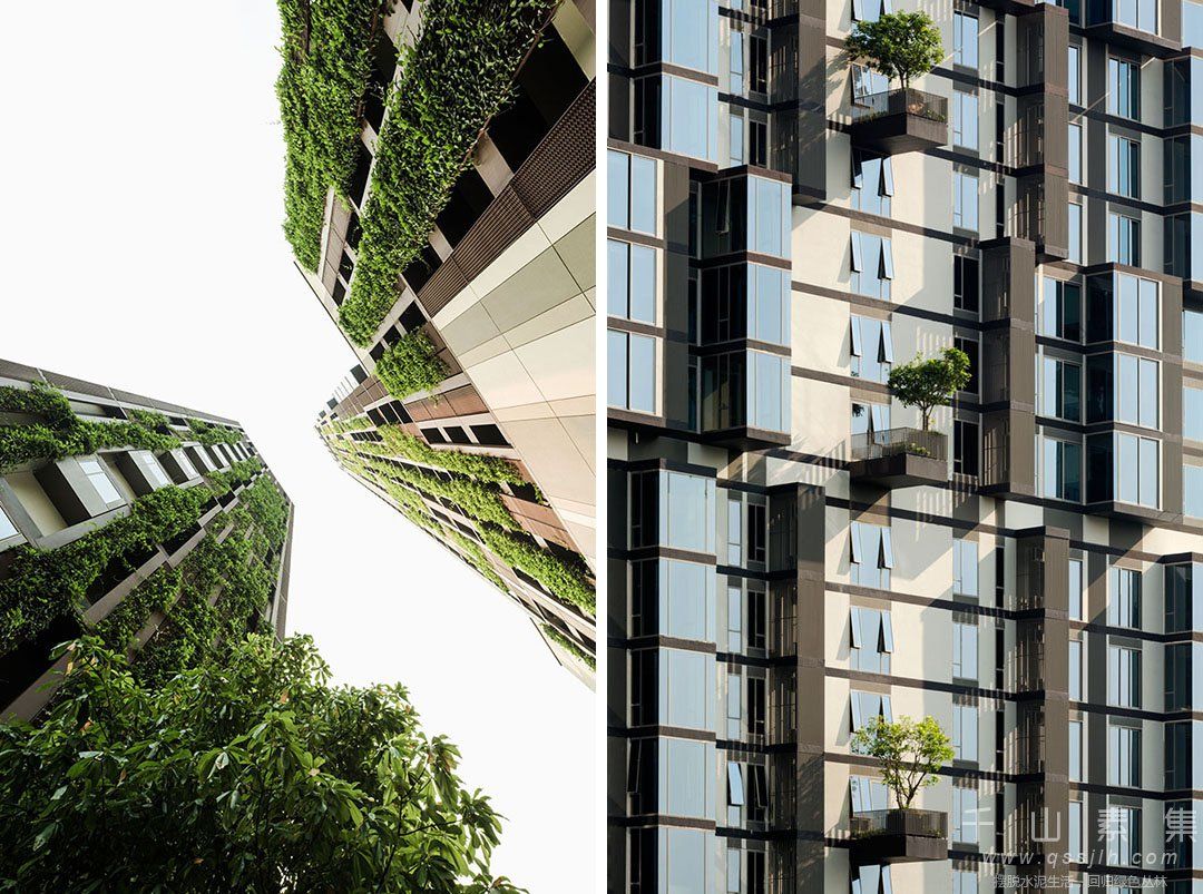 公寓立体绿化,住宅立体绿化,立体绿化景观