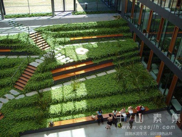 立体绿化-中国城市绿化建设的“合作人”