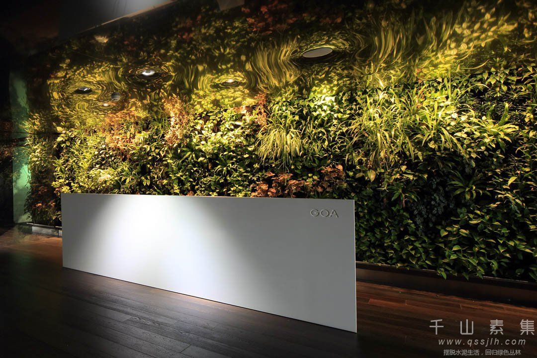 办公室植物墙,杭州植物墙,植物墙设计,植物墙景观