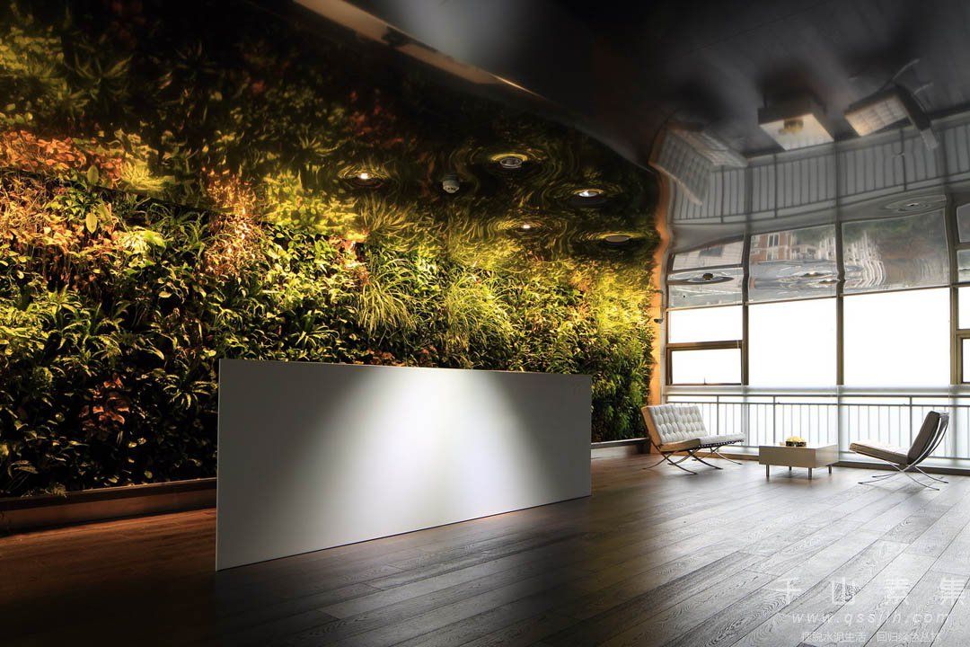 办公室植物墙,杭州植物墙,植物墙设计,植物墙景观