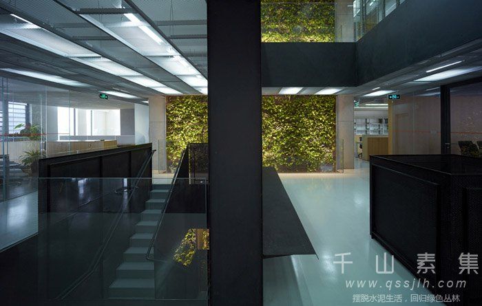 天津办公室植物墙-将自然气息引入空间