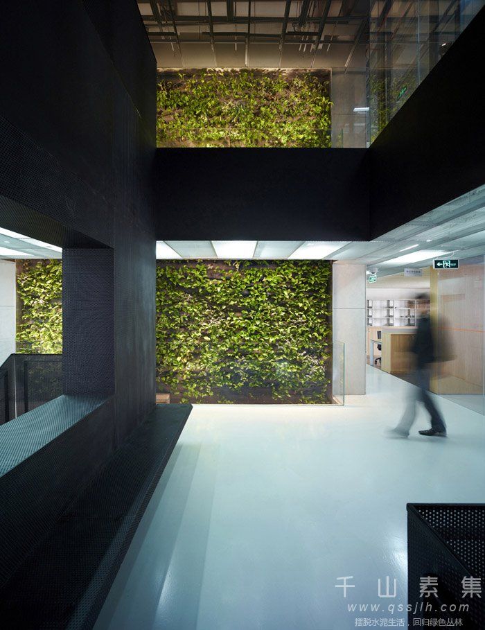 办公室植物墙,天津植物墙,植物墙设计,植物墙景观