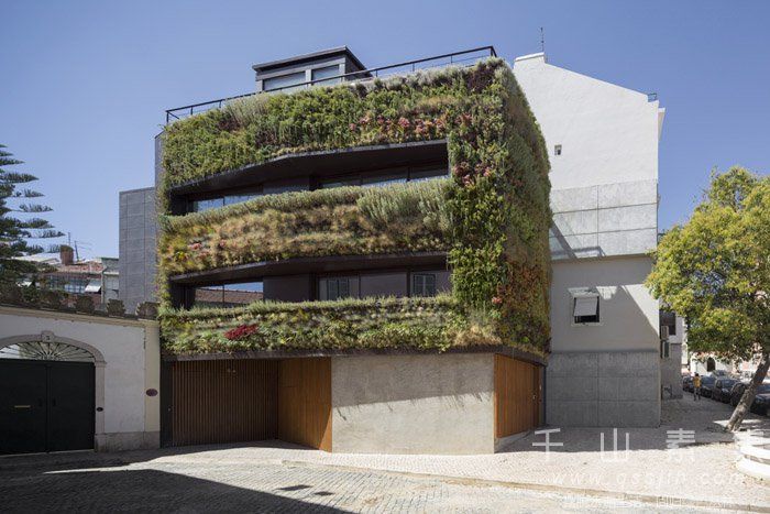 住宅植物墙-创建一个与自然对话的惊喜氛围