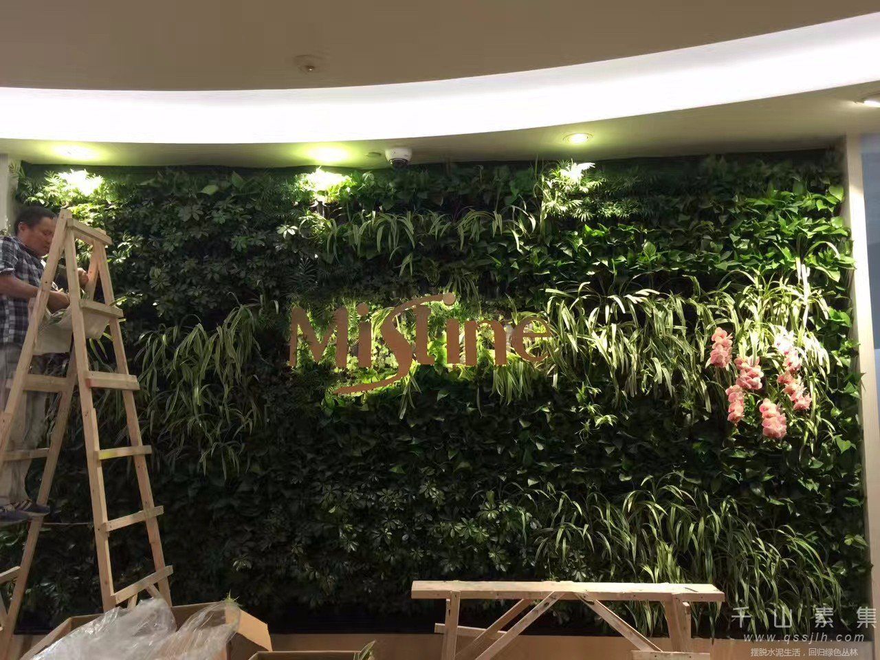 公司植物墙,上海植物墙