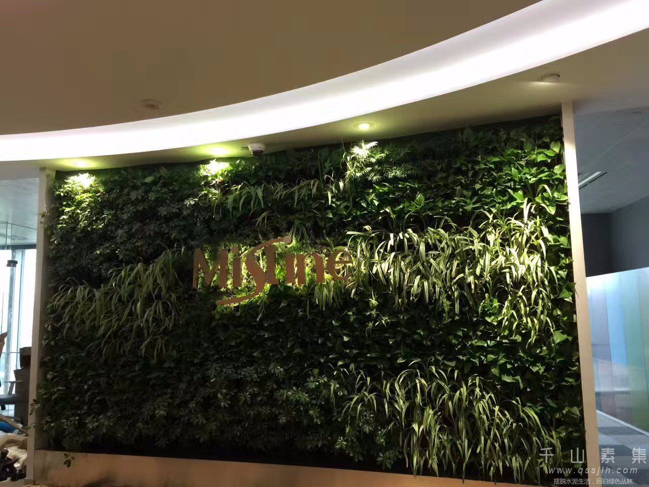 公司植物墙,上海植物墙