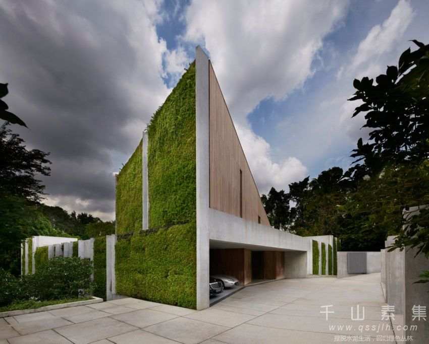住宅植物墙,植物墙设计