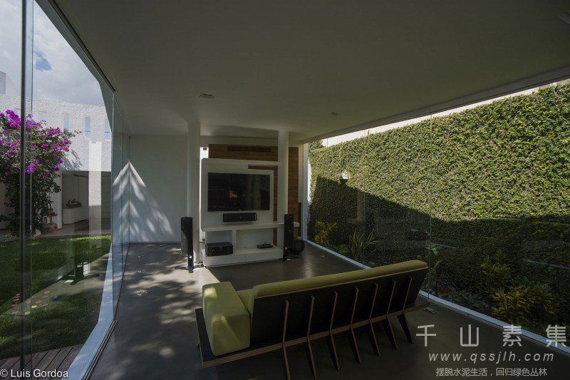住宅植物墙,休息室植物墙,植物墙设计,植物墙景观