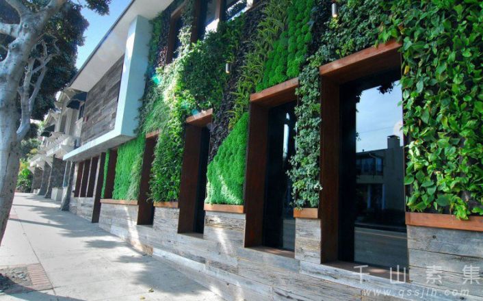 美国酒店植物墙-用绿色点缀空间