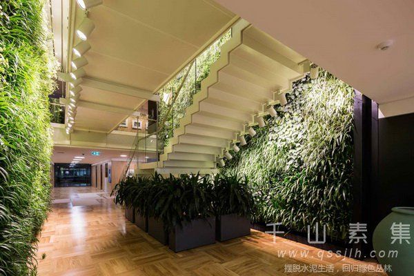 楼梯植物墙,植物墙设计,植物墙景观