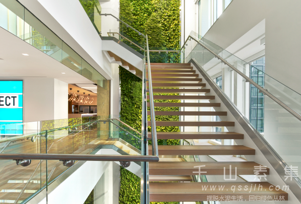 楼梯植物墙-与大自然同行