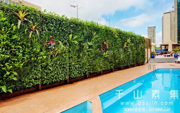 打造完美植物墙 不可忽视的问题