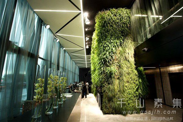 窗边植物墙,植物墙设计,室内植物墙