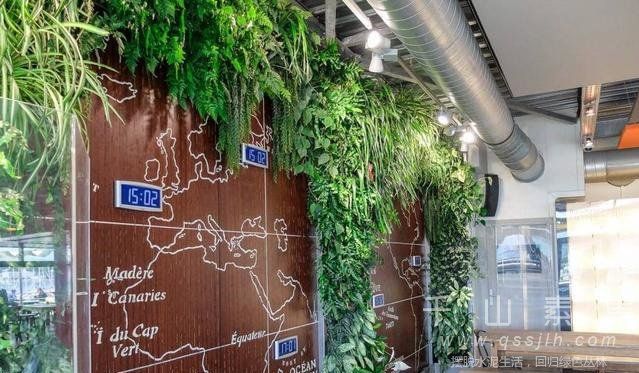 植物墙设计,植物墙景观