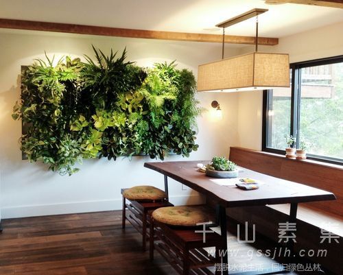 植物墙是如何改善居住环境的？